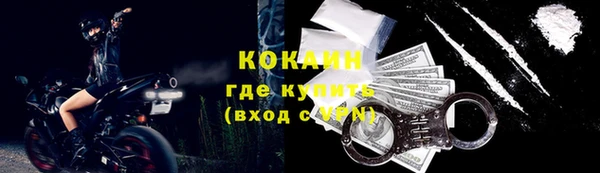 Альфа ПВП Няндома
