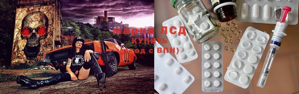 spice Аркадак