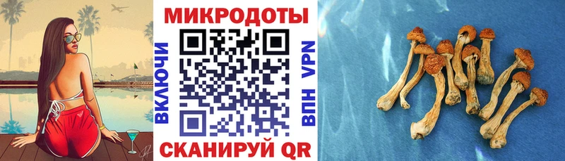 Галлюциногенные грибы Cubensis  МЕГА сайт  Тарко-Сале 